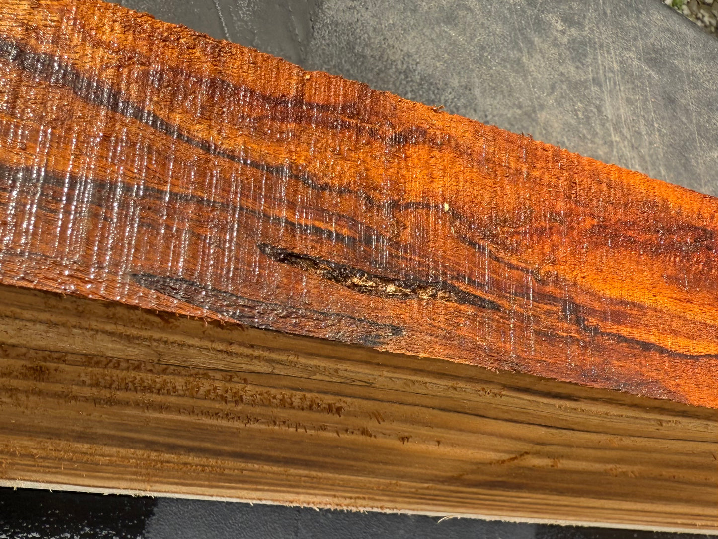 Hawaiian Curly Koa Board / Guitar Billet #14790