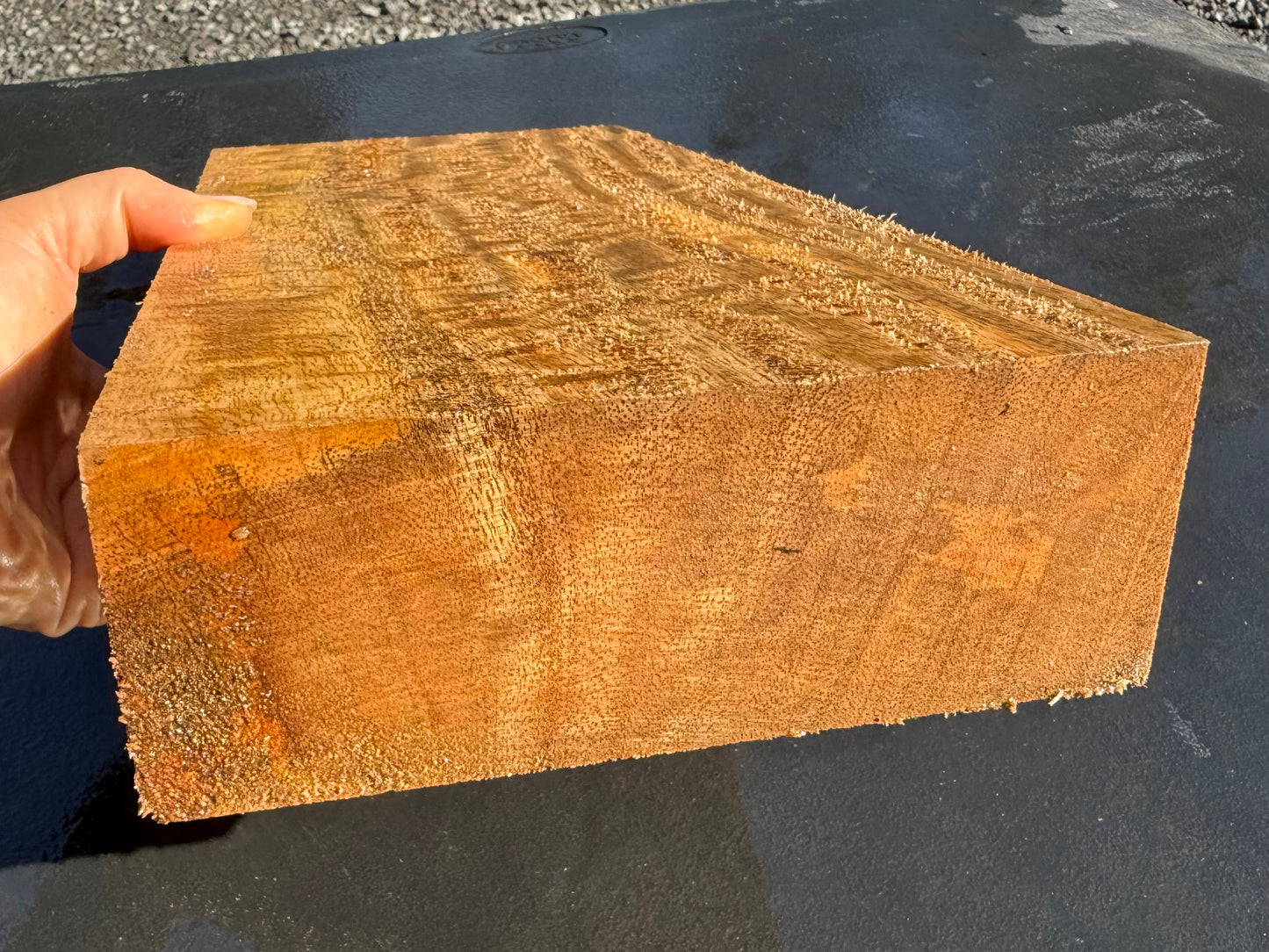 Hawaiian Curly Mango Board #14826