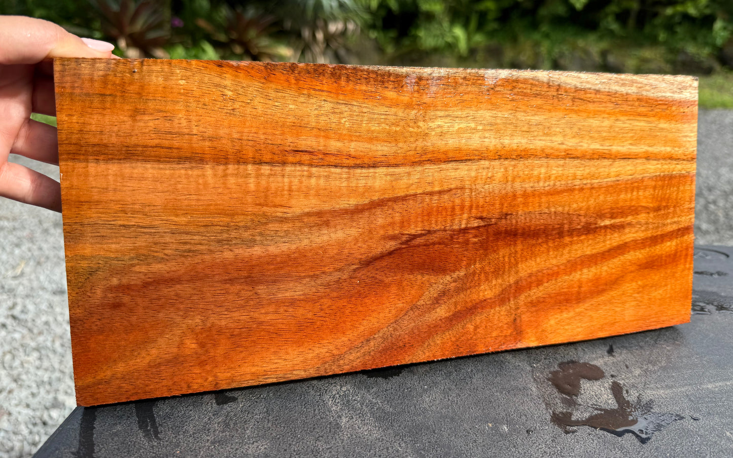 Hawaiian Curly Koa Board #14841