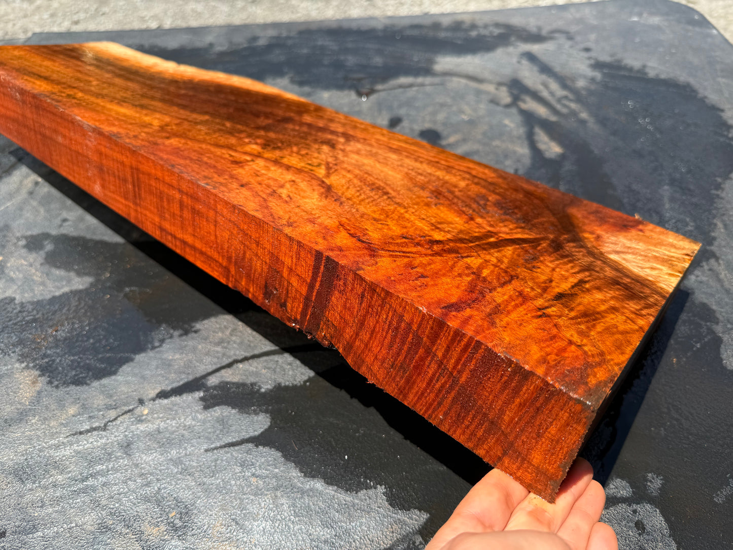 Hawaiian Curly Koa Board / Guitar Billet #14758