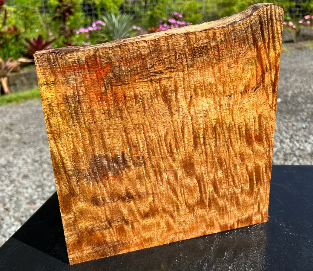 Hawaiian Curly Mango Board #11112