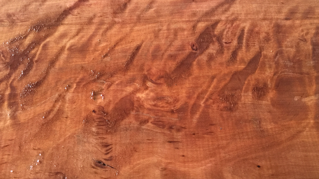 Nepal Alder
