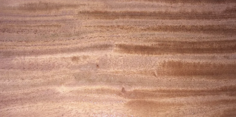 Cuban Mahogany