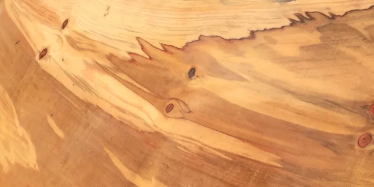 Sugi Pine