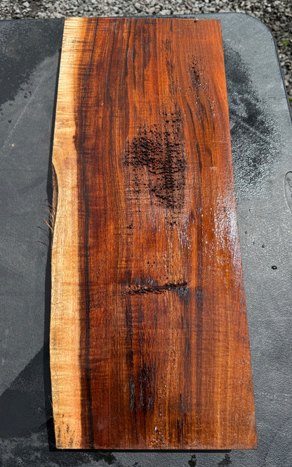 Hawaiian Curly Koa Board / Guitar Billet #14770