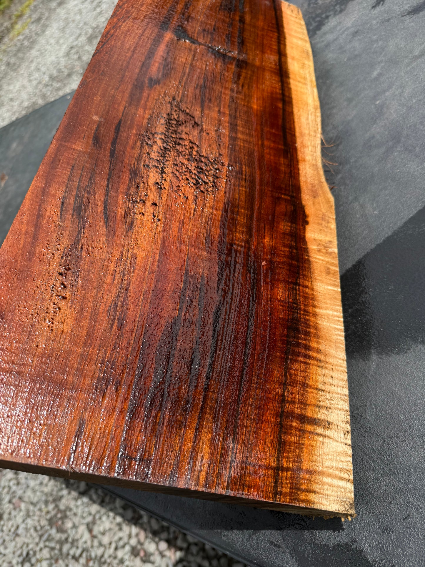 Hawaiian Curly Koa Board / Guitar Billet #14770
