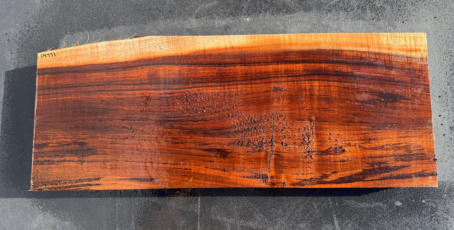 Hawaiian Curly Koa Board / Guitar Billet #14771