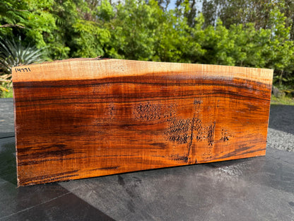 Hawaiian Curly Koa Board / Guitar Billet #14771
