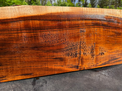 Hawaiian Curly Koa Board / Guitar Billet #14771