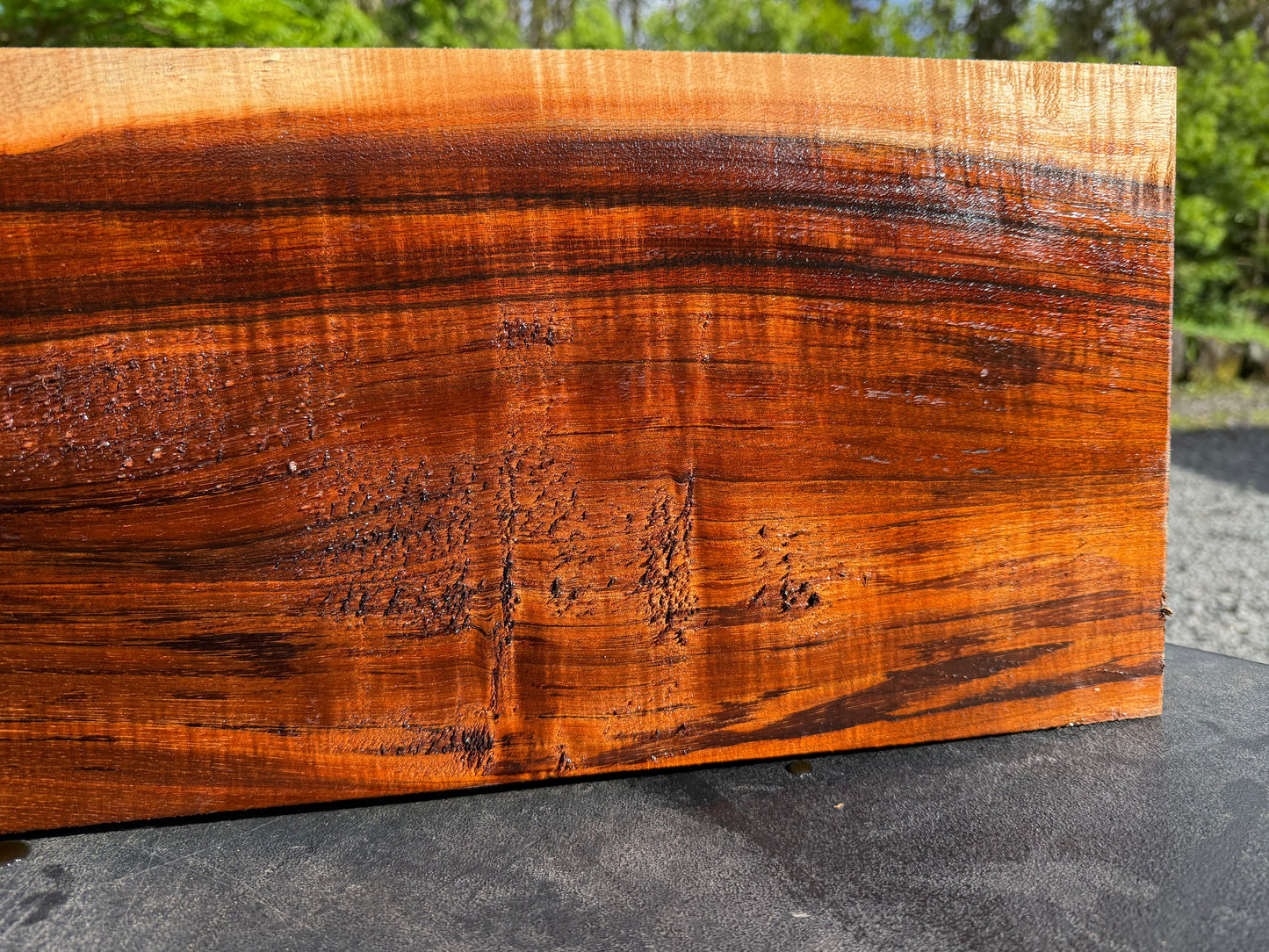 Hawaiian Curly Koa Board / Guitar Billet #14771