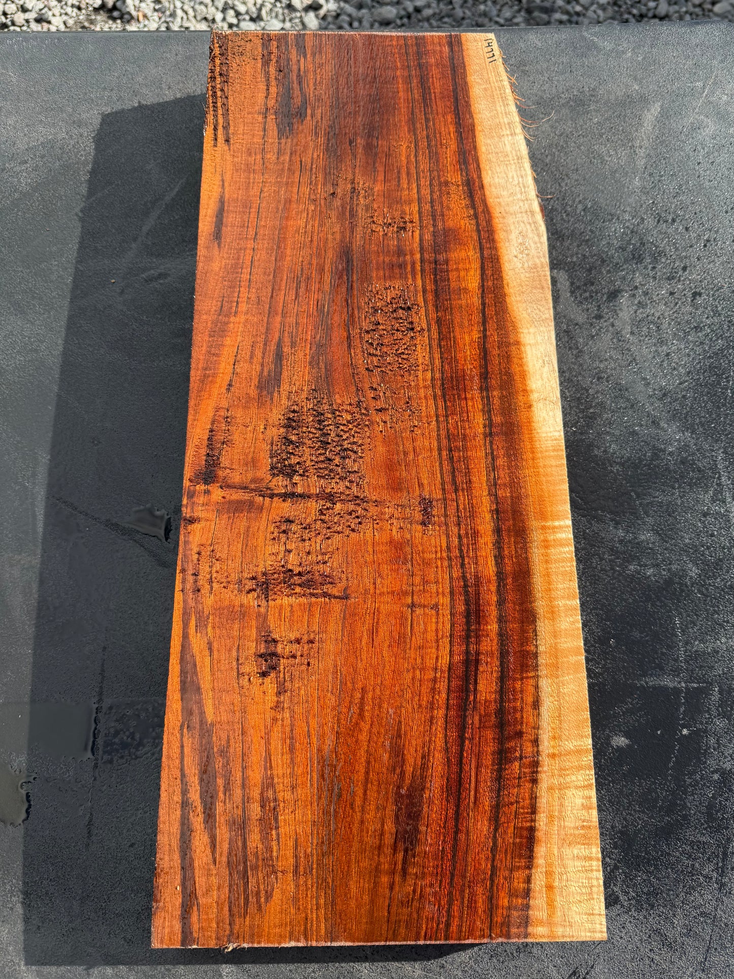 Hawaiian Curly Koa Board / Guitar Billet #14771