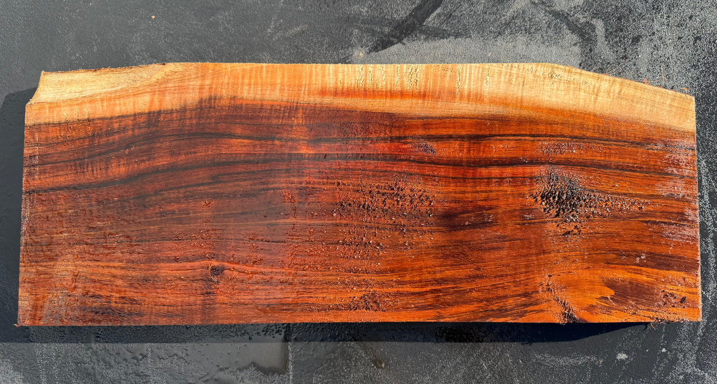 Hawaiian Curly Koa Board / Guitar Billet #14771
