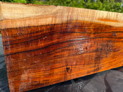 Hawaiian Curly Koa Board / Guitar Billet #14771