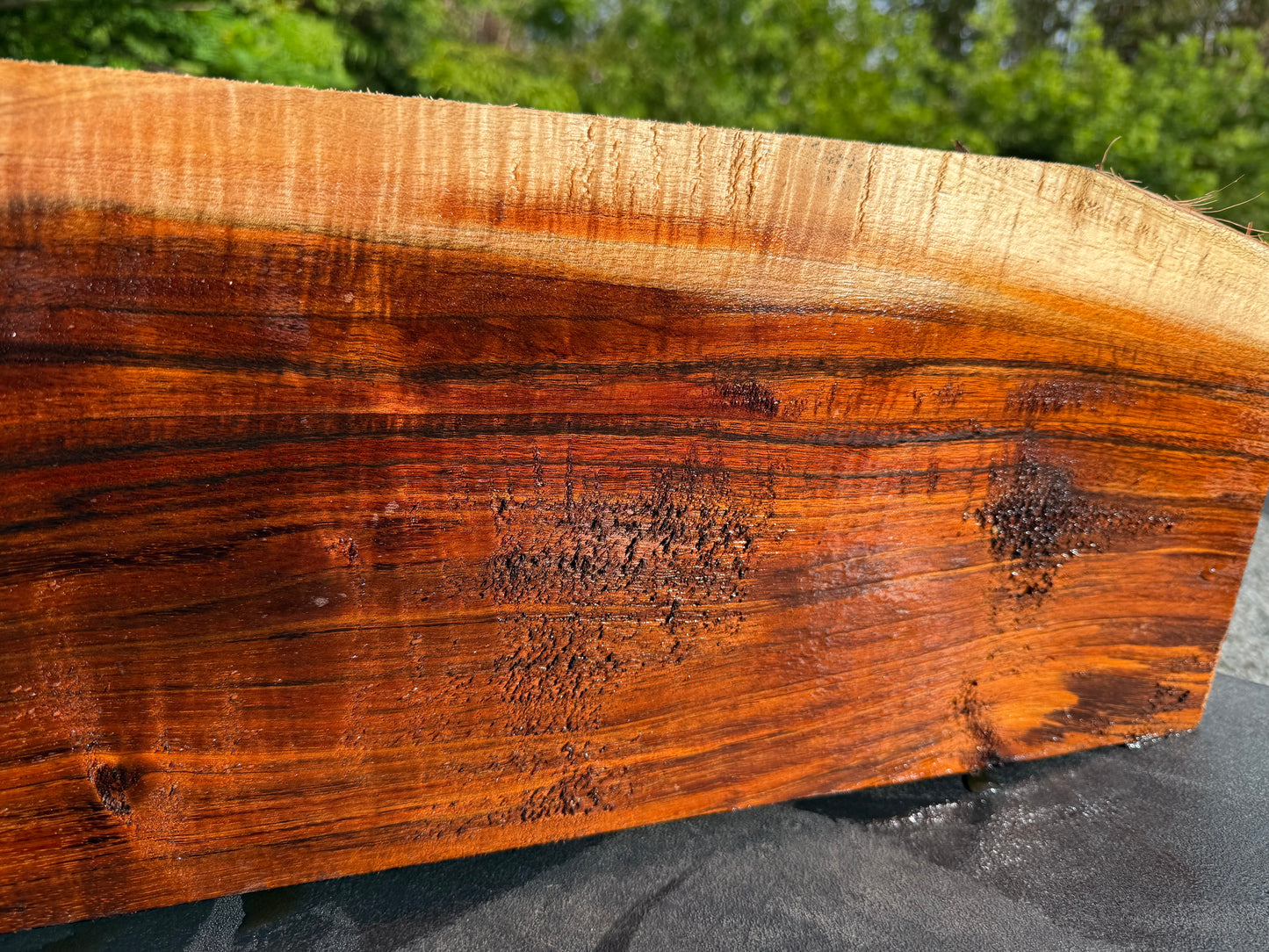 Hawaiian Curly Koa Board / Guitar Billet #14771