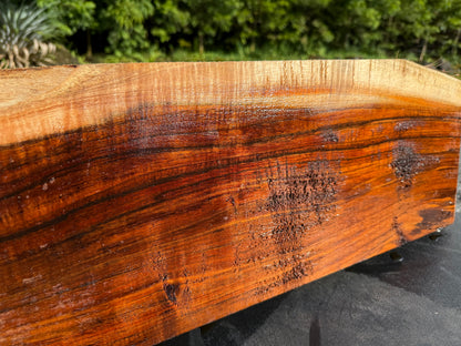 Hawaiian Curly Koa Board / Guitar Billet #14771