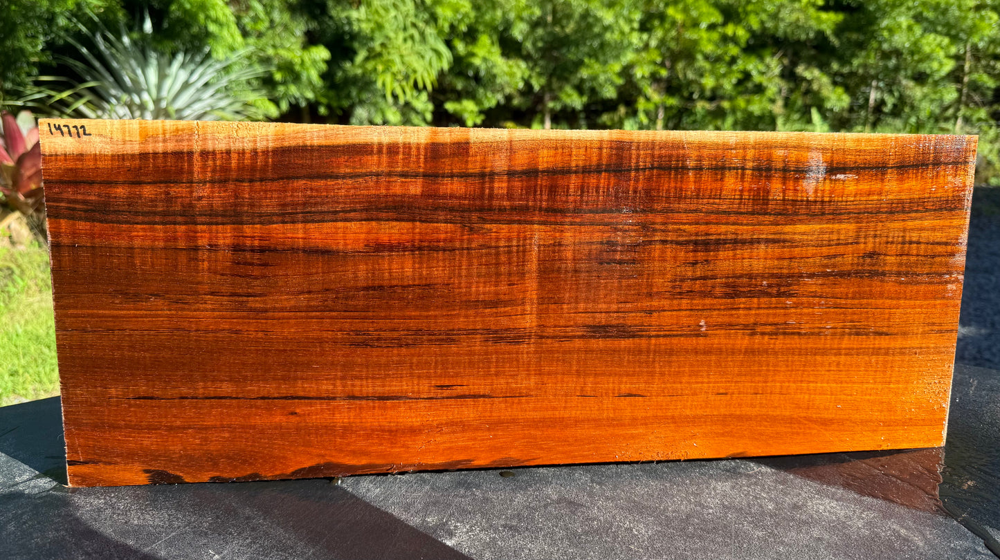 Hawaiian Curly Koa Board / Guitar Billet #14772