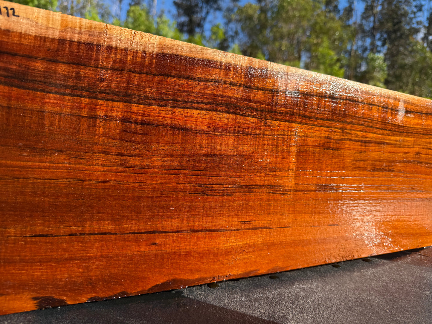 Hawaiian Curly Koa Board / Guitar Billet #14772