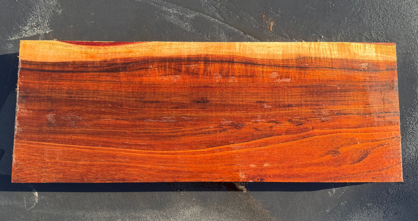 Hawaiian Curly Koa Board / Guitar Billet #14772