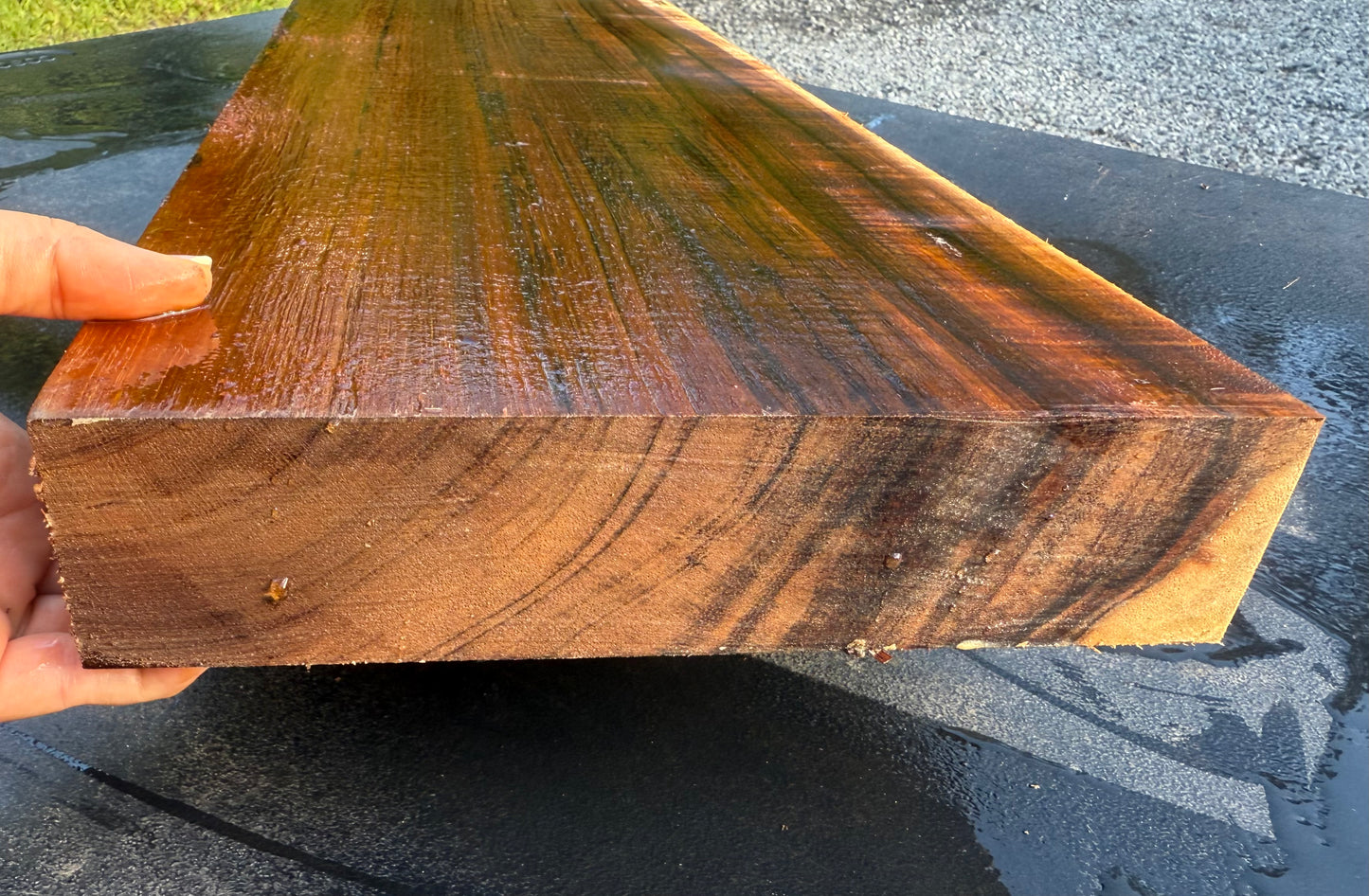 Hawaiian Curly Koa Board / Guitar Billet #14772