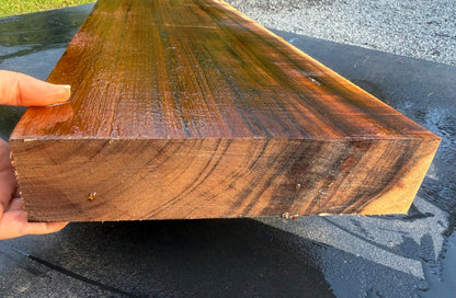 Hawaiian Curly Koa Board / Guitar Billet #14772