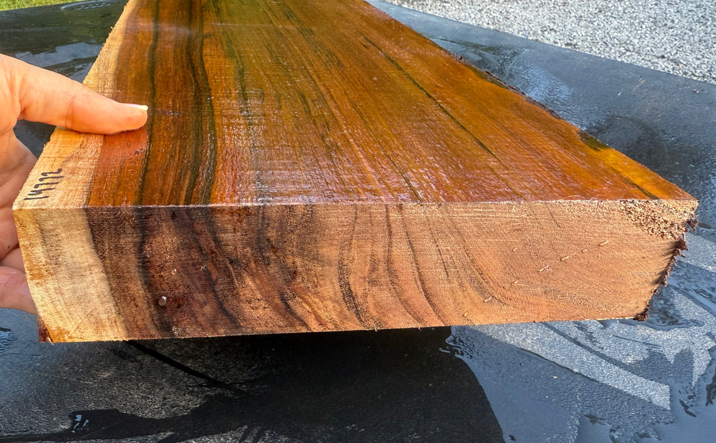 Hawaiian Curly Koa Board / Guitar Billet #14772