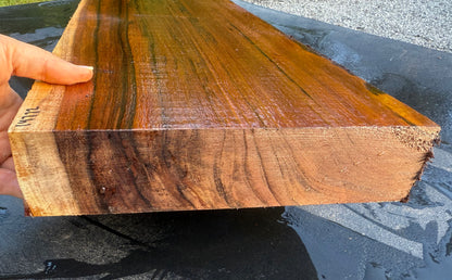 Hawaiian Curly Koa Board / Guitar Billet #14772