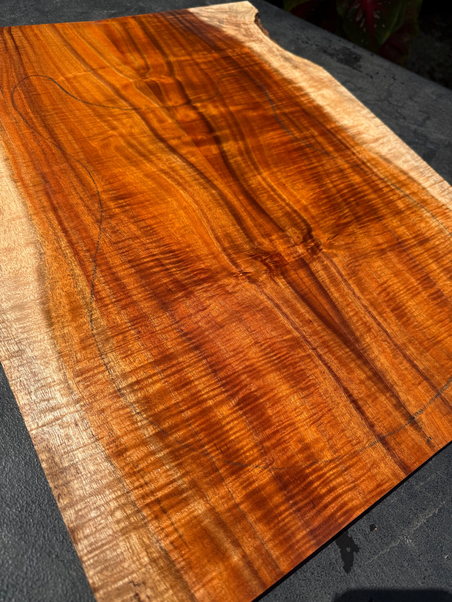 Hawaiian Curly Koa Guitar Top / Guitar Set #14787