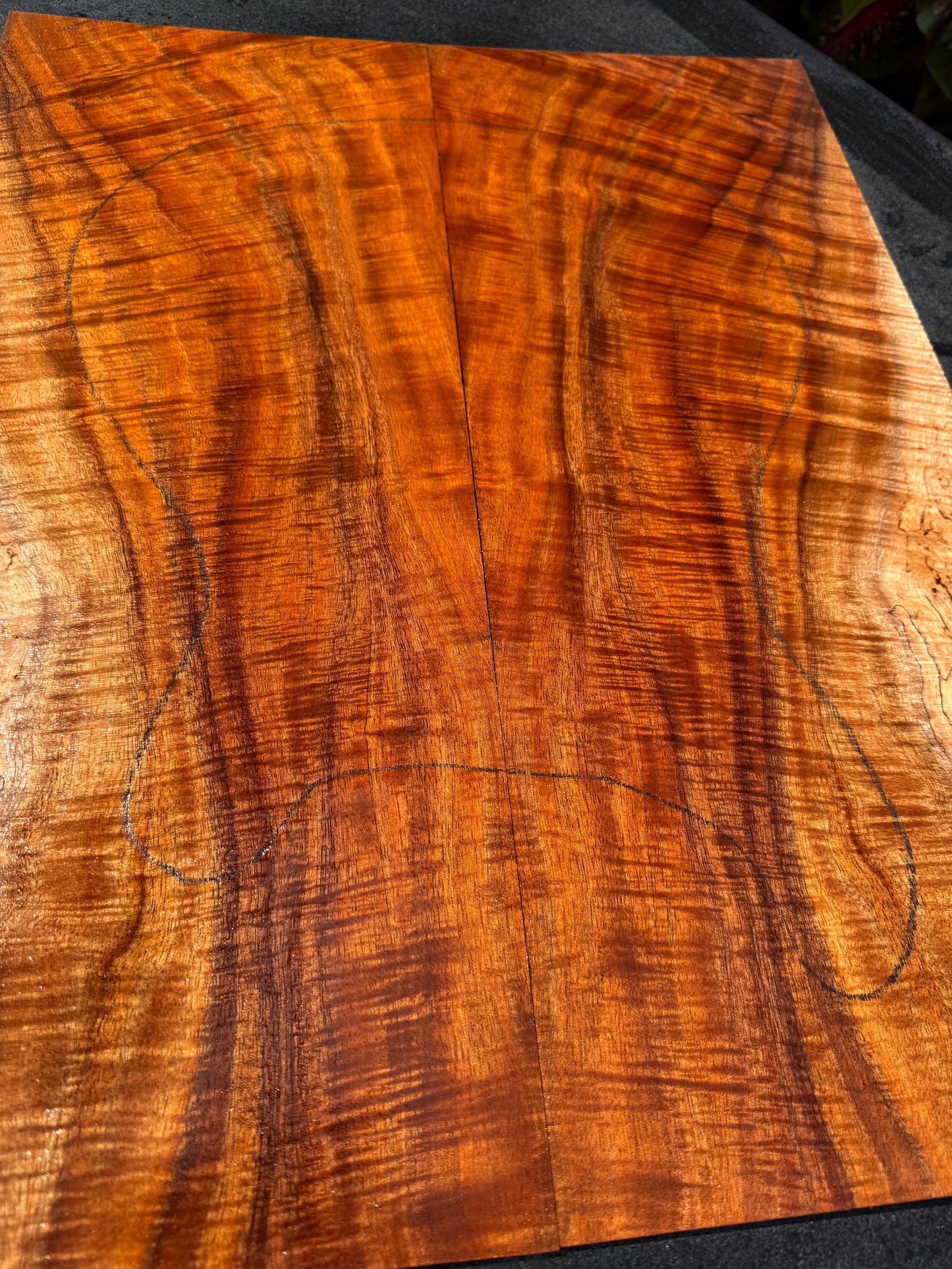 Hawaiian Curly Koa Guitar Top / Guitar Set #14780