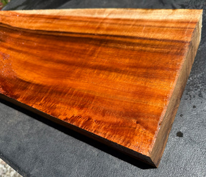 Hawaiian Curly Koa Board / Guitar Billet #14790