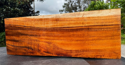 Hawaiian Curly Koa Board / Guitar Billet #14790