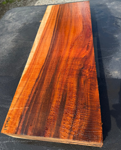 Hawaiian Curly Koa Board / Guitar Billet #14790