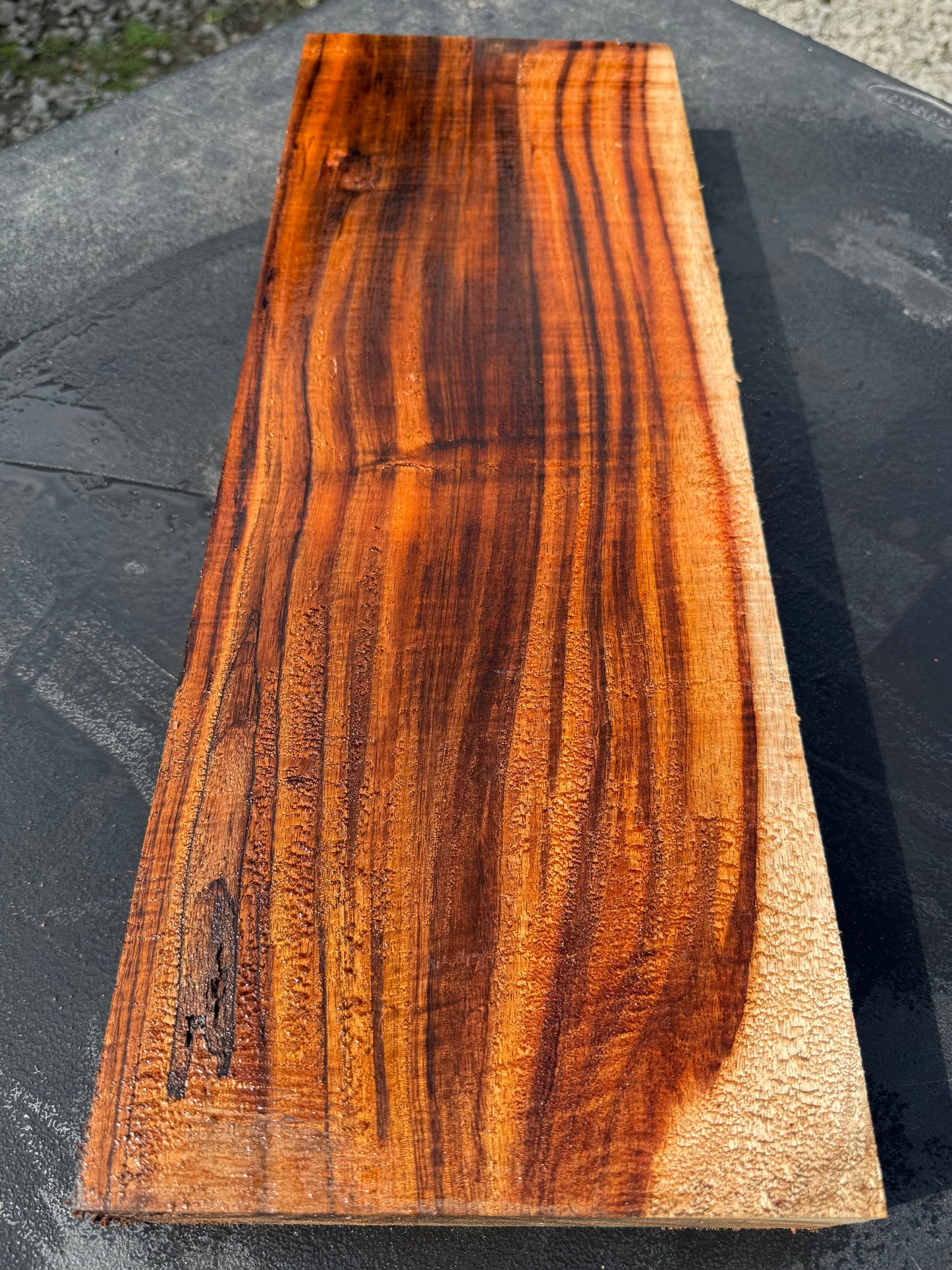 Hawaiian Curly Koa Board / Guitar Billet #14790