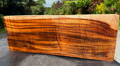 Hawaiian Curly Koa Board / Guitar Billet #14790