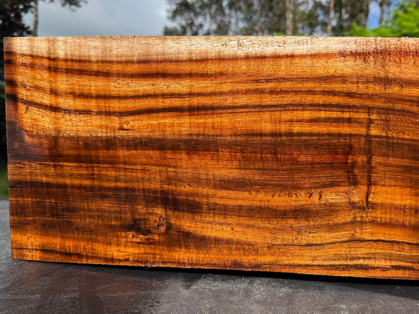 Hawaiian Curly Koa Board / Guitar Billet #14790
