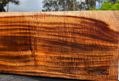 Hawaiian Curly Koa Board / Guitar Billet #14790