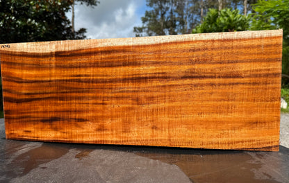 Hawaiian Curly Koa Board / Guitar Billet #14791