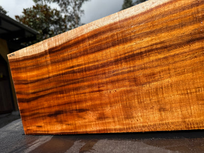 Hawaiian Curly Koa Board / Guitar Billet #14791