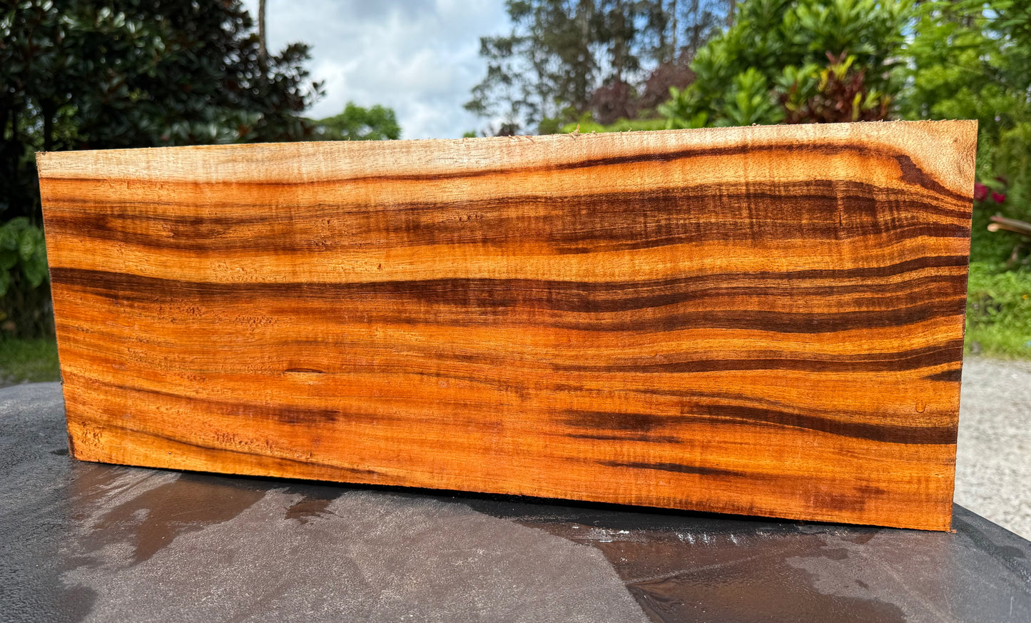 Hawaiian Curly Koa Board / Guitar Billet #14791
