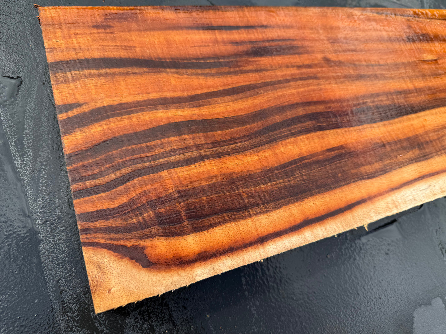 Hawaiian Curly Koa Board / Guitar Billet #14791