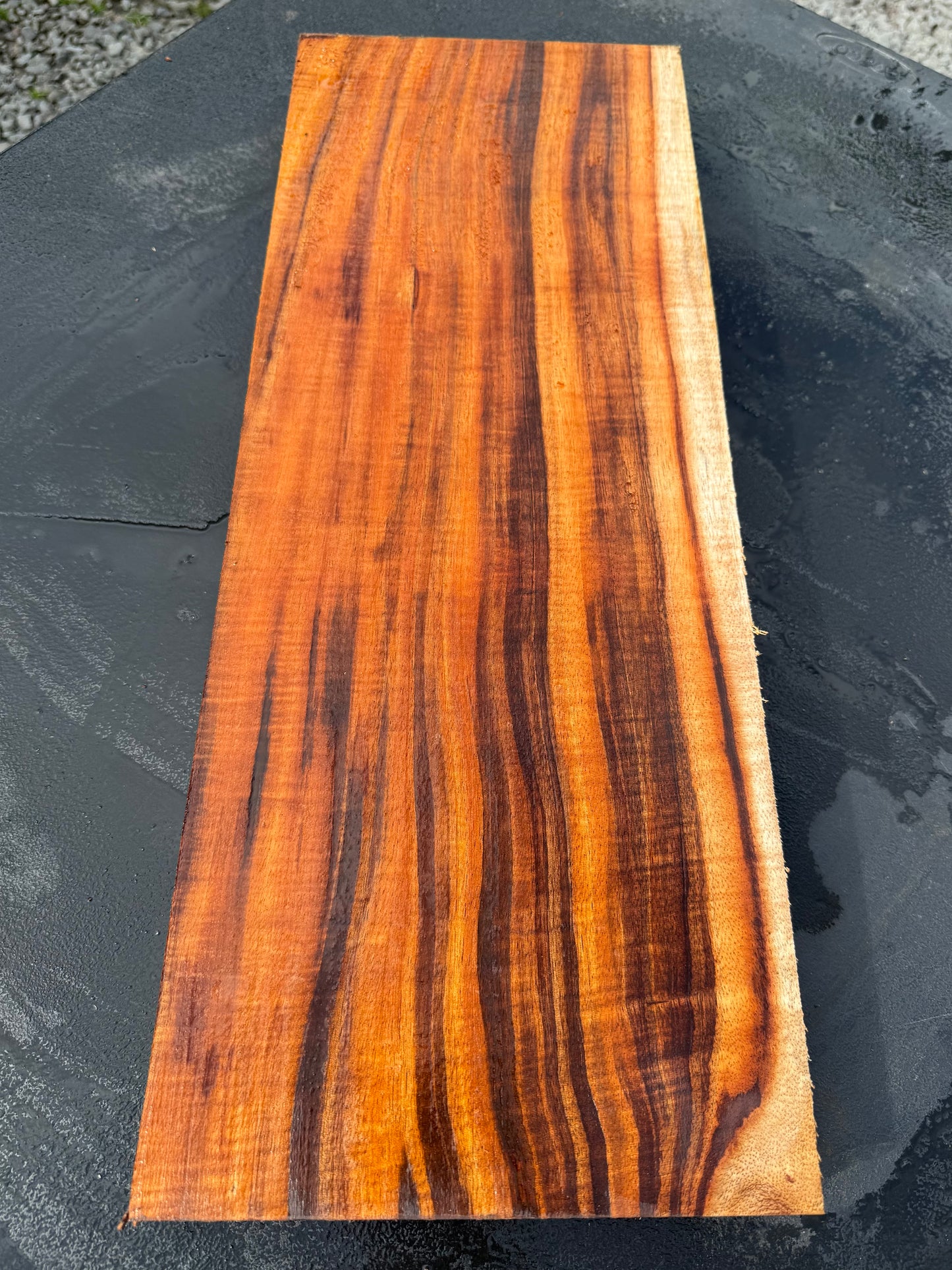 Hawaiian Curly Koa Board / Guitar Billet #14791