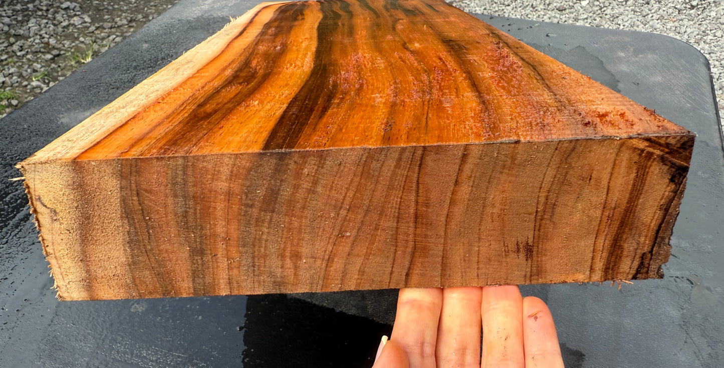 Hawaiian Curly Koa Board / Guitar Billet #14791
