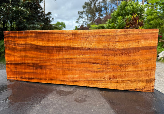 Hawaiian Curly Koa Board / Guitar Billet #14792