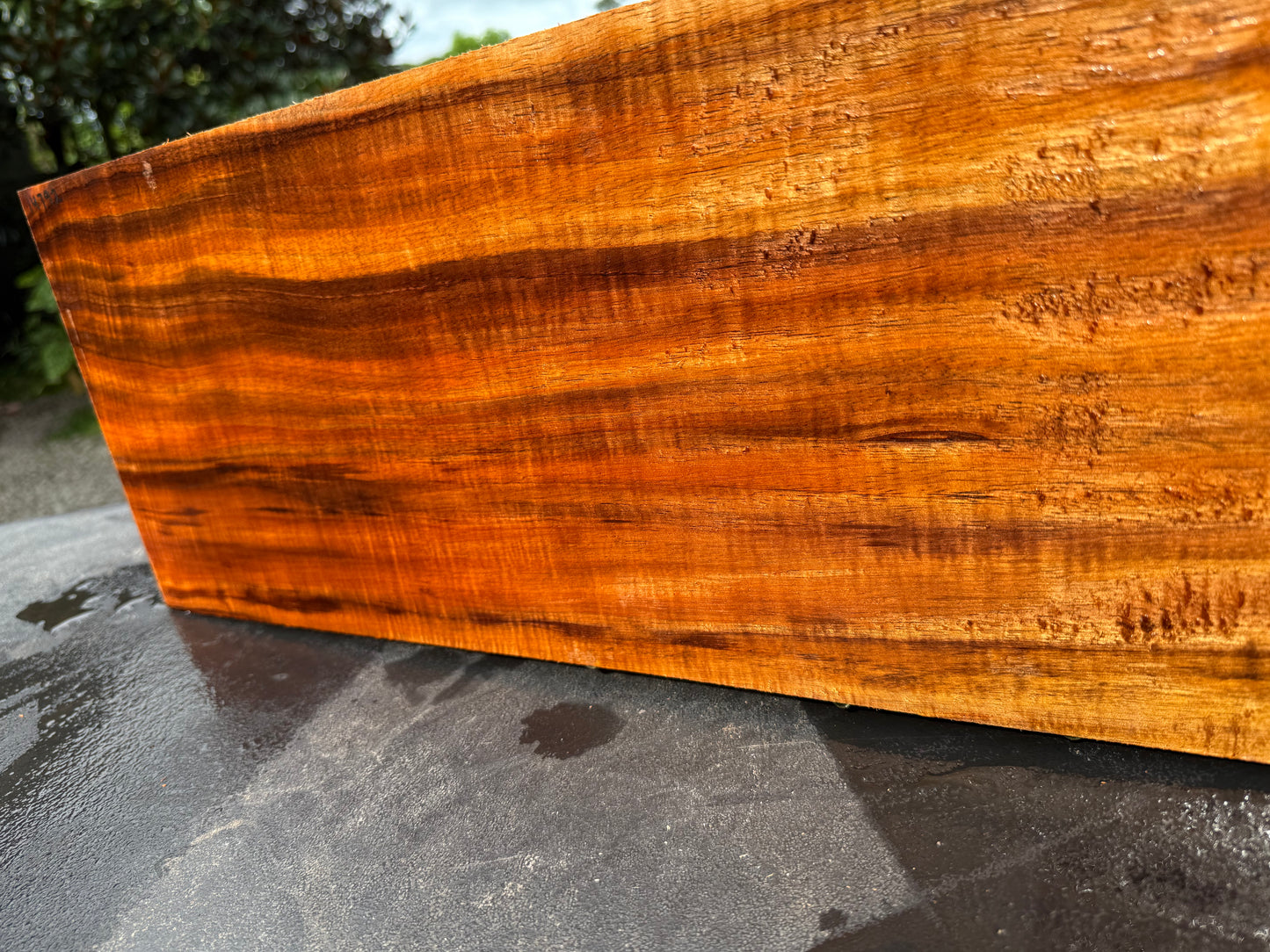 Hawaiian Curly Koa Board / Guitar Billet #14792