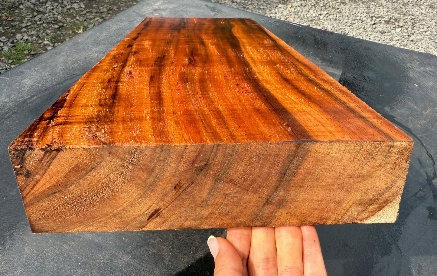 Hawaiian Curly Koa Board / Guitar Billet #14792