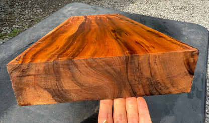 Hawaiian Curly Koa Board / Guitar Billet #14792