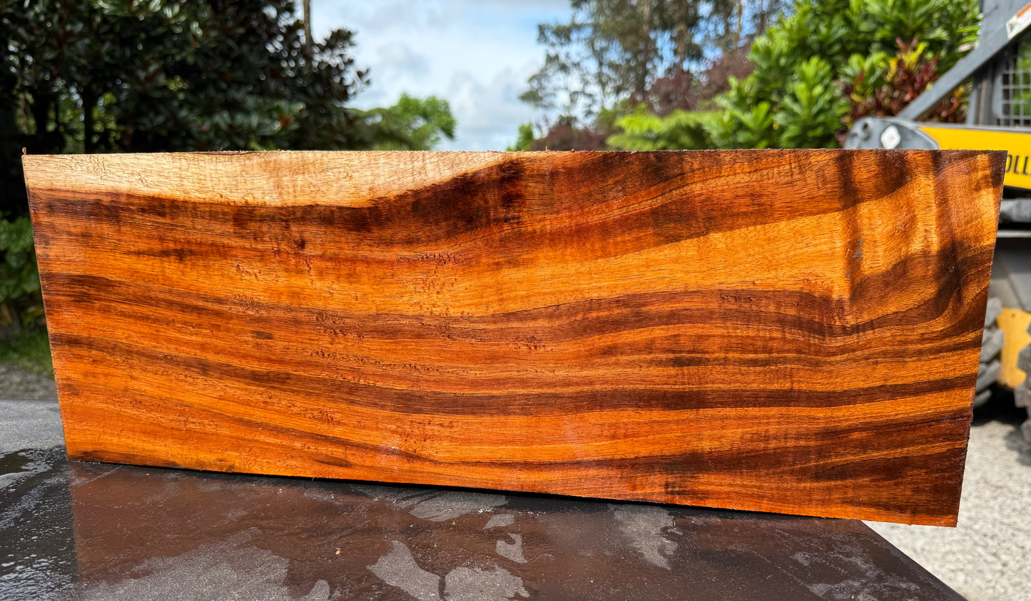Hawaiian Curly Koa Board / Guitar Billet #14792
