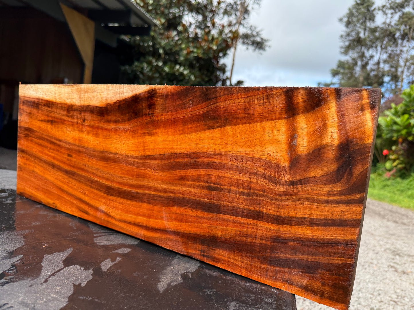 Hawaiian Curly Koa Board / Guitar Billet #14792