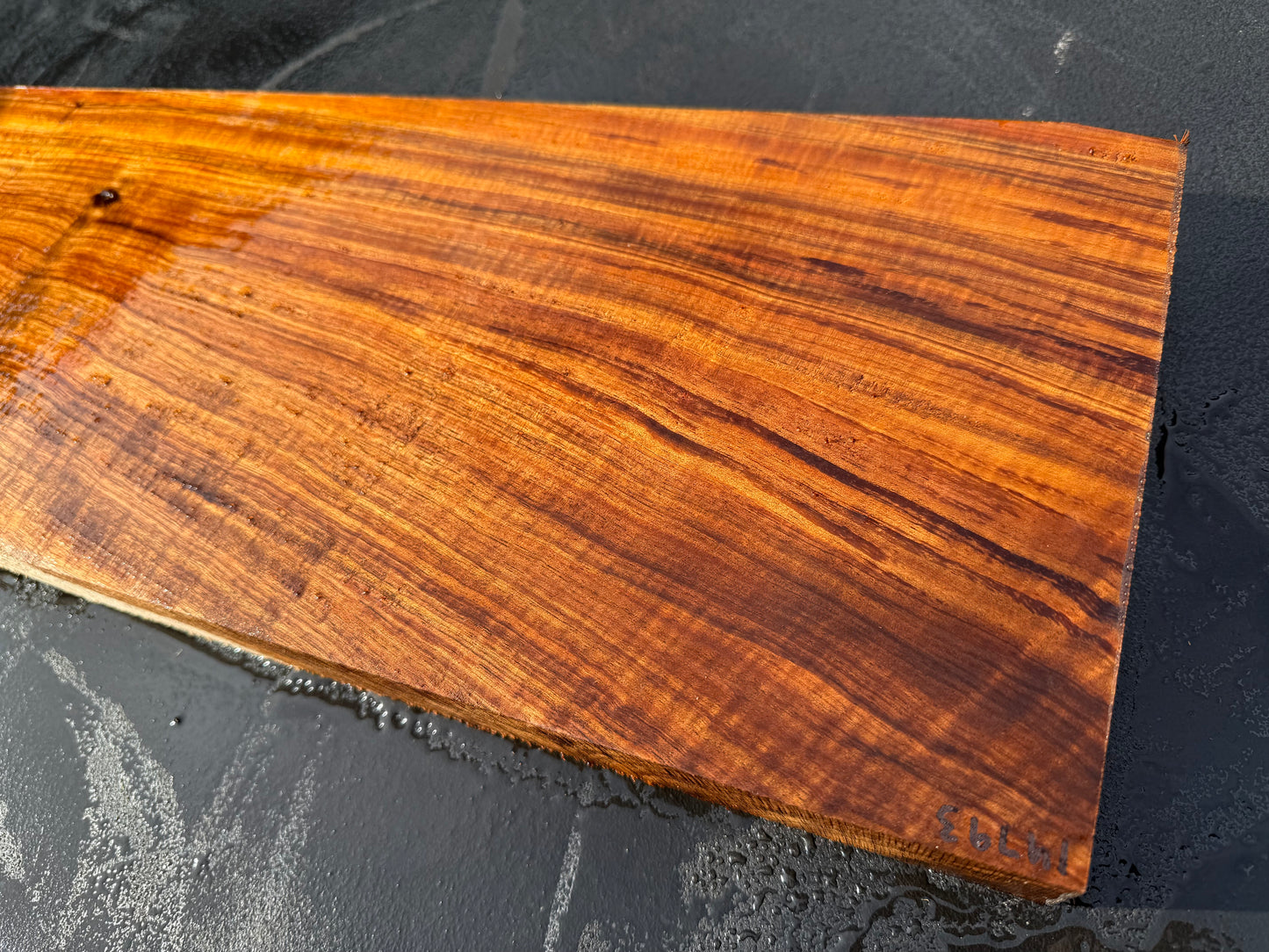Hawaiian Curly Koa Board / Guitar Billet #14793