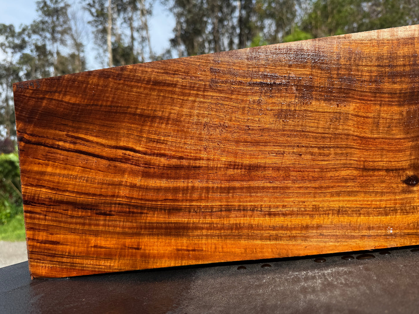 Hawaiian Curly Koa Board / Guitar Billet #14793