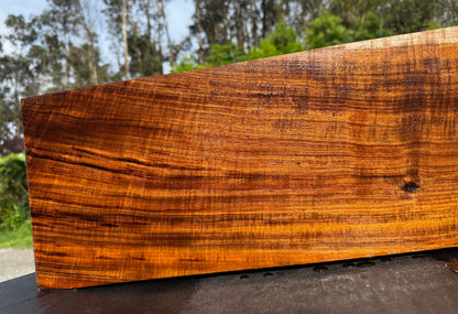 Hawaiian Curly Koa Board / Guitar Billet #14793